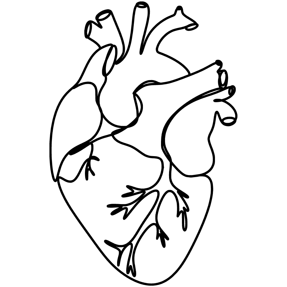 Heart Veins